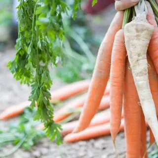 veggies to grow in fall for winter