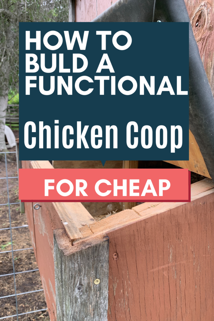 frugal ways to build a chicken coop