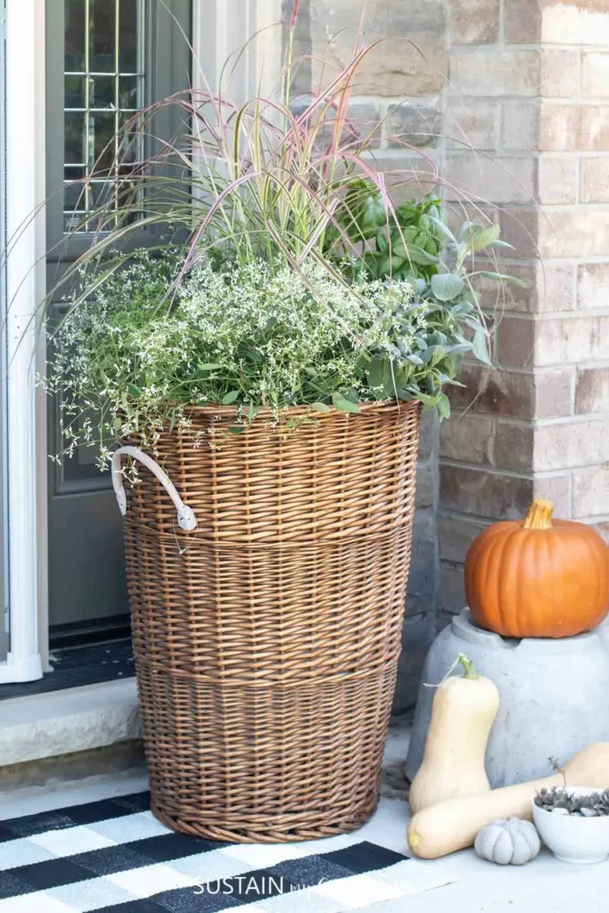 budget friendly fall planters 