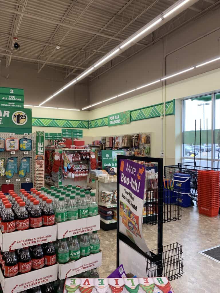 Dollar Tree Shopping Guide: Products You Should Skip & Buy 6 dollar tree 2024 items to buy and not buy