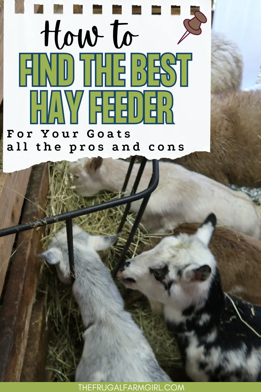 best hay feeder for your goats 