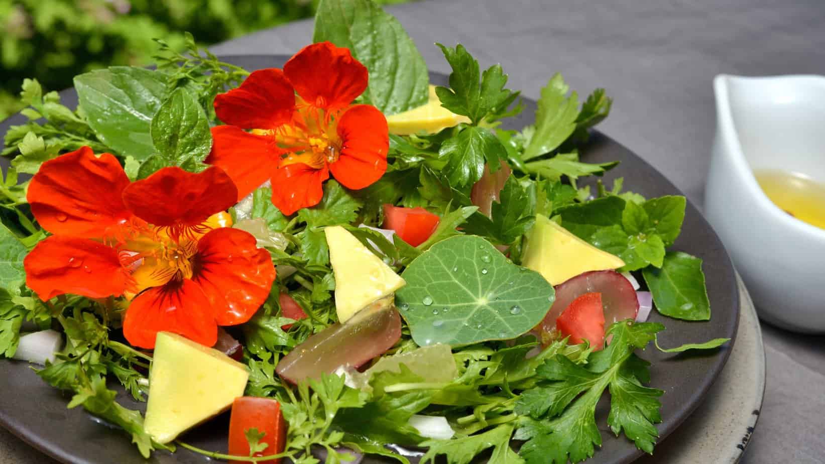 26 Pollinator Plants For Your Vegetable Garden