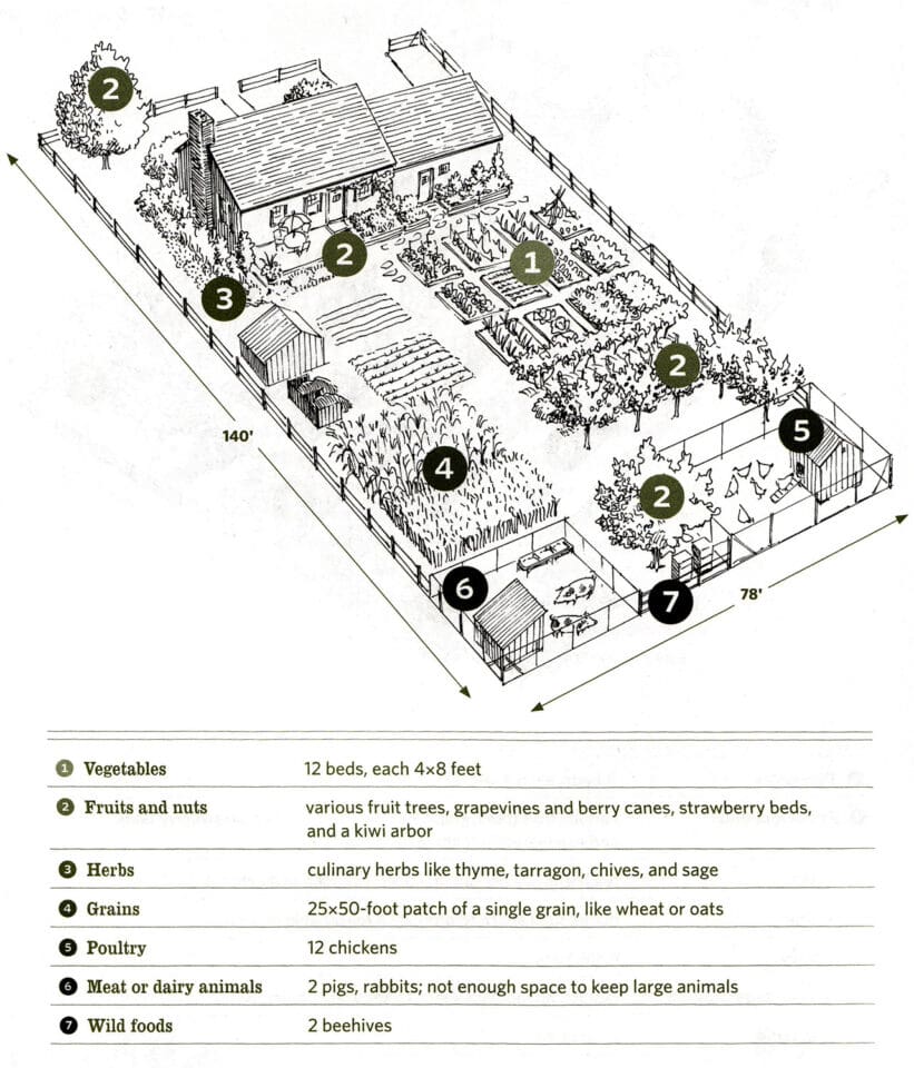 Ideas for a One Acre Homestead Layout