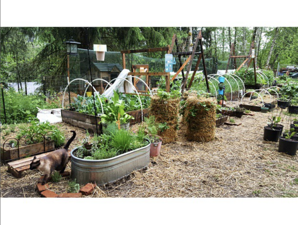 Design Ideas for Starting a One Acre Homestead