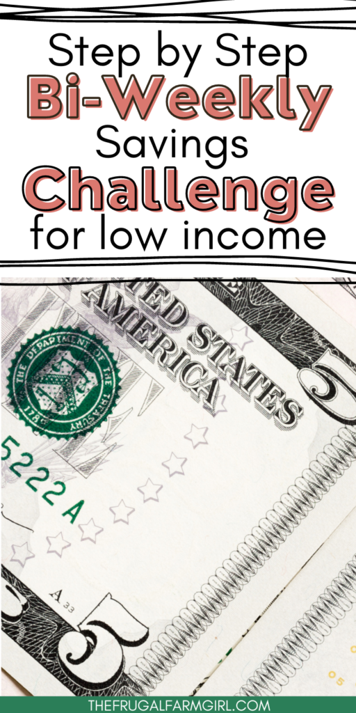 Your Guide to the Bi-Weekly Savings Challenge: A Step-by-Step Journey for Low-Income Earners
