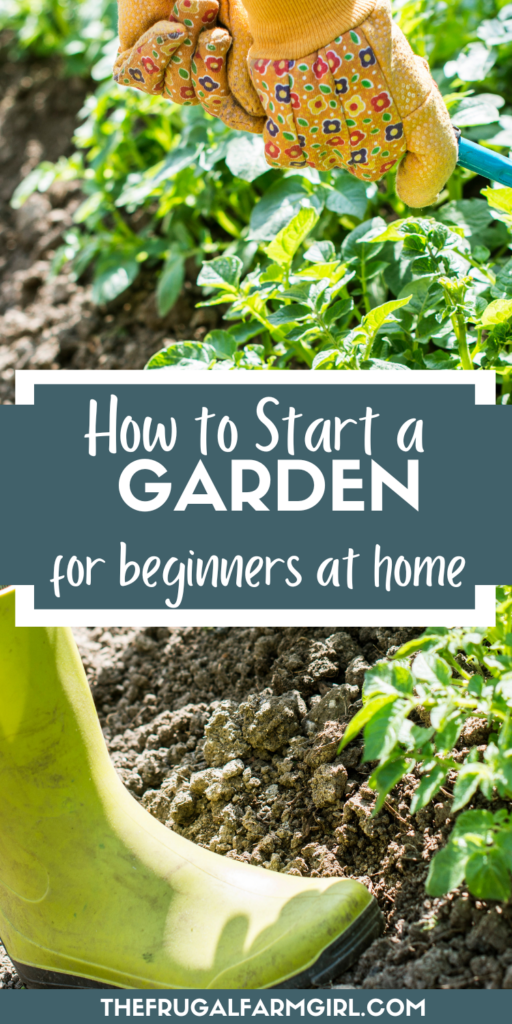 how to start a garden tips for beginners 
