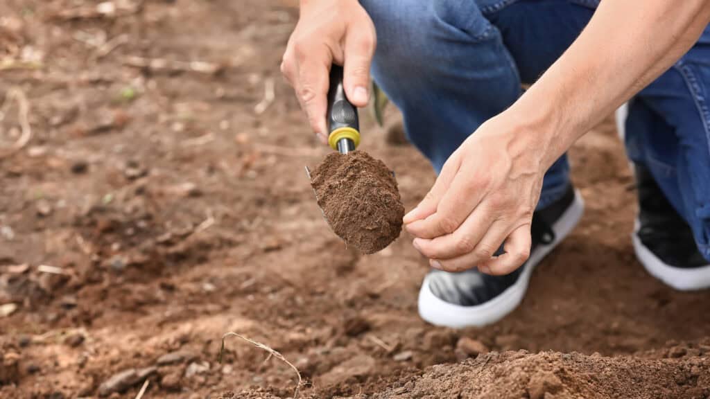steps to starting your one acre homestead 