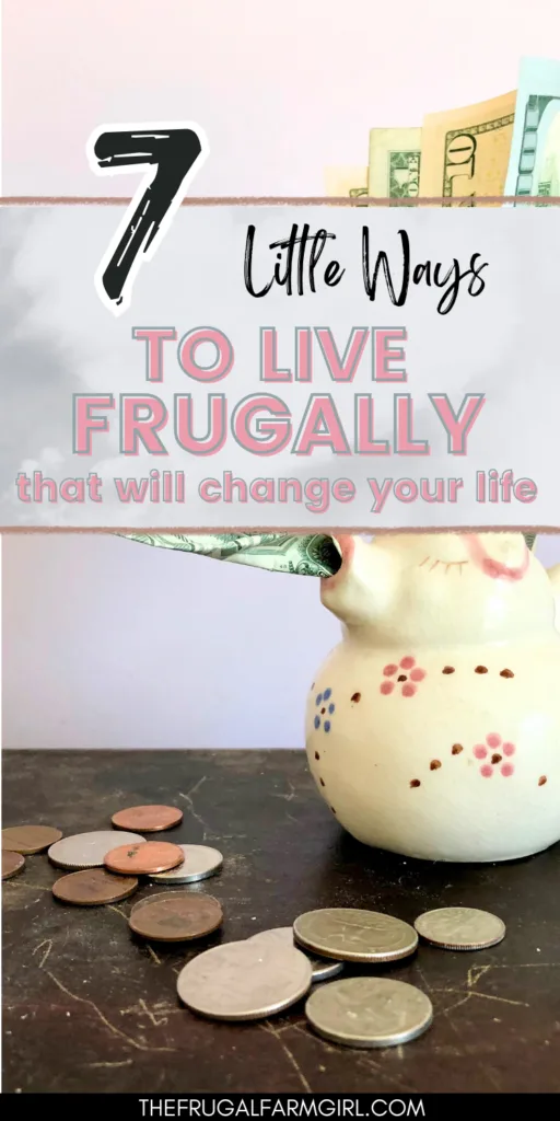Beginner's Guide to Frugal Living: Pay Off Debts and Build a Better Financial Future