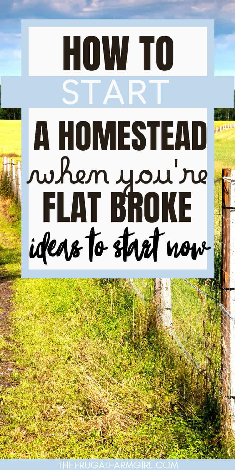 How to Start a Homestead with Little Money