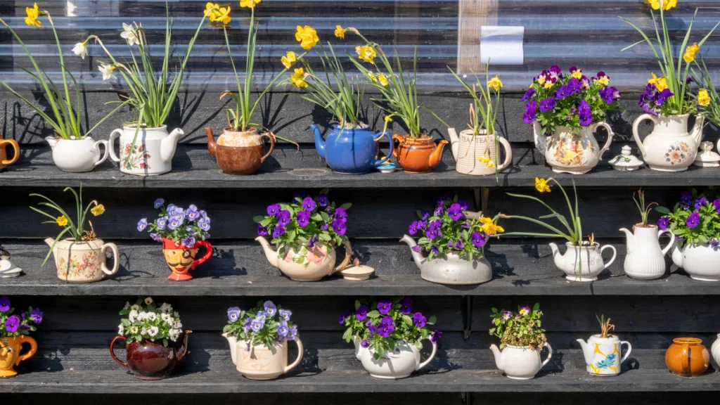 A Beginner's Guide to Planting and Growing Your Own Spring Flowers