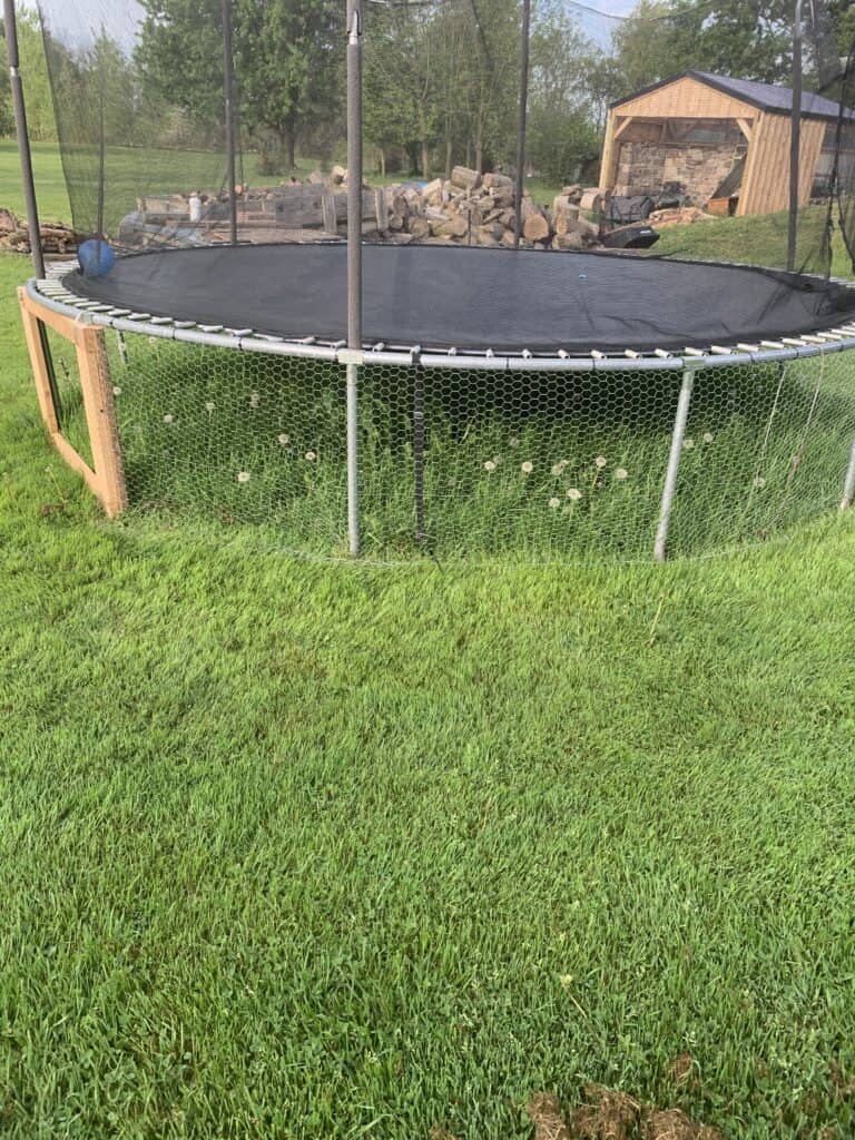 How to Turn A Trampoline into a Chicken Coop and Still Jump on It! 2 How to Turn A Trampoline into a Chicken Coop and Still Jump on It!