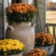 four cereamic planters are on a rustic farmhouse porch filled with orange and yellow mum flowers.