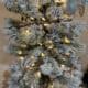 Frosted Christmas tree with ornaments and fairy lights, rustic holiday decor, snowy farmhouse style.