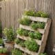 Wooden pallet garden with lush herbs and flowers in a rustic backyard setting.