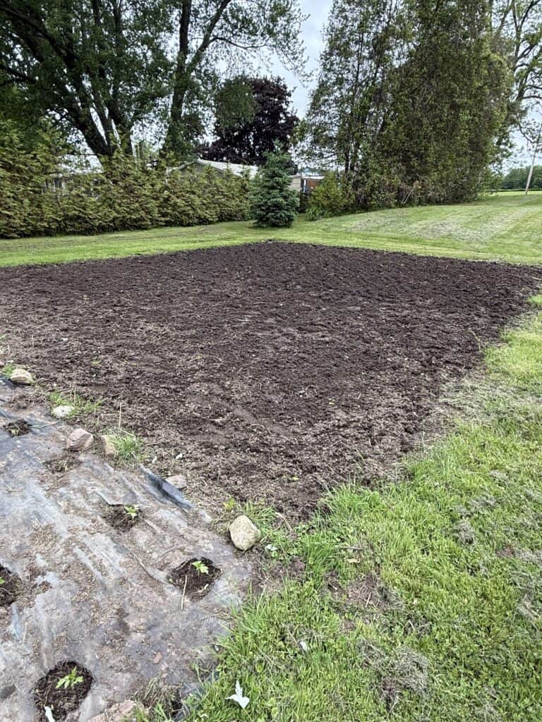 The Garden Journal: Week 1 - Tomato Planting Day 5 Vegetable garden bed with rich, dark soil for planting vegetables and herbs.