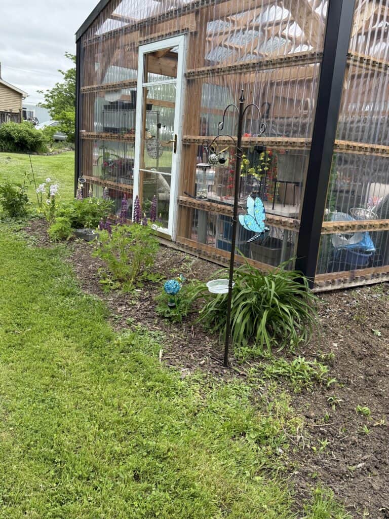 The Garden Journal: Week 1 - Tomato Planting Day 6 The Garden Journal: Week 1 - Tomato Planting Day