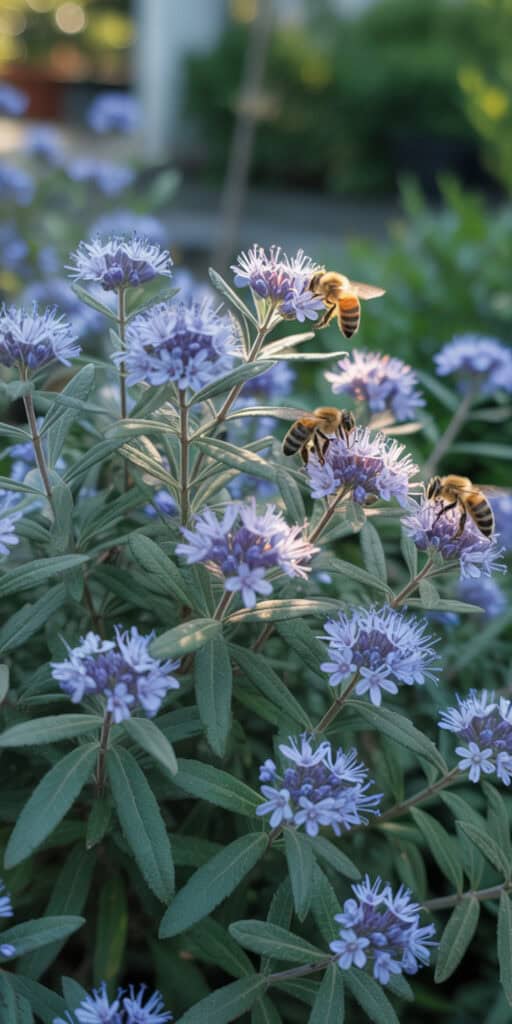 Deer Resistant Landscaping Shrubs: What Actually Works (And How to Use Them) 8 Blue Mist Flower with bees pollinating in a garden.