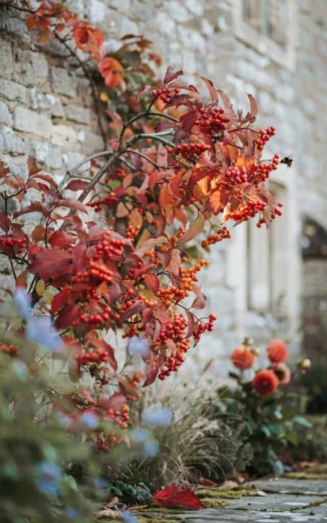 15 Low Maintenance Shrubs That Look Amazing All Year 11 15 Low Maintenance Shrubs That Look Amazing All Year