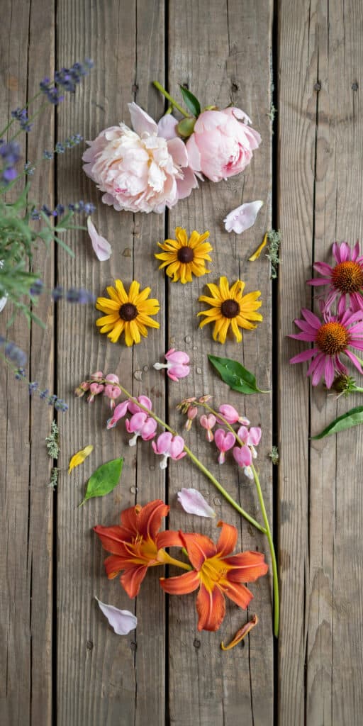 The Grandma Garden: How to Grow a Cottage-Style Flower Garden on a Budget 1 Vibrant mixed summer flowers including peonies, daisies, and lilies arranged on weathered wooden pla.
