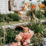7 Vibrant garden flowers blooming near a cozy house with hanging basket.