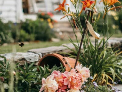 Vibrant garden flowers blooming near a cozy house with hanging basket.