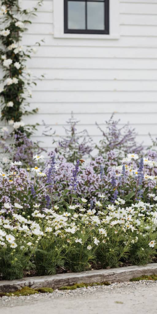 Cheap Front Yard Landscaping Ideas That Look Expensive 11 Colorful flower garden in front of a white house with a window.