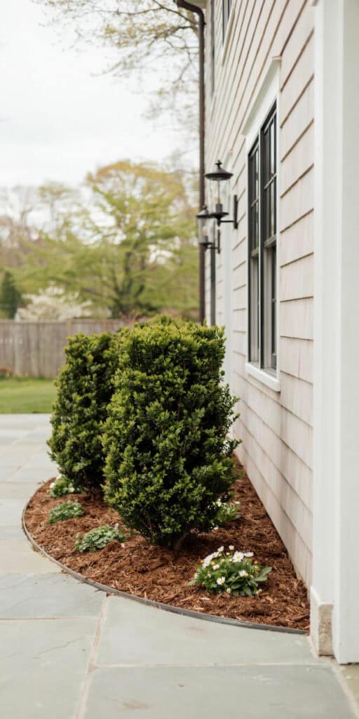 Cheap Front Yard Landscaping Ideas That Look Expensive 6 Cheap Front Yard Landscaping Ideas That Look Expensive