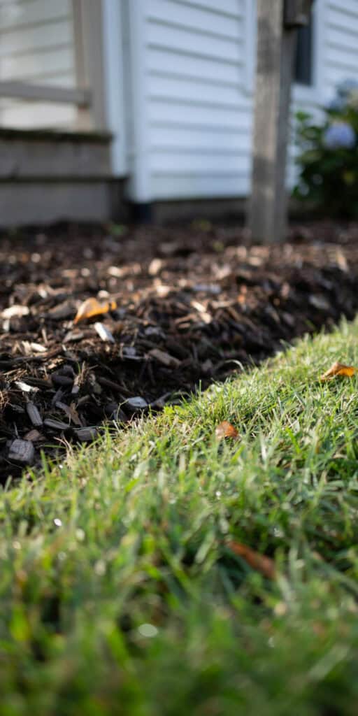 Cheap Front Yard Landscaping Ideas That Look Expensive 1 Cheap Front Yard Landscaping Ideas That Look Expensive