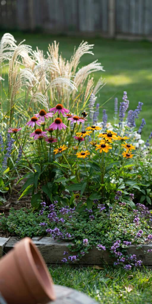 Cheap Front Yard Landscaping Ideas That Look Expensive 7 Vibrant flower garden with purple, yellow, and white blooms in a sunny yard.