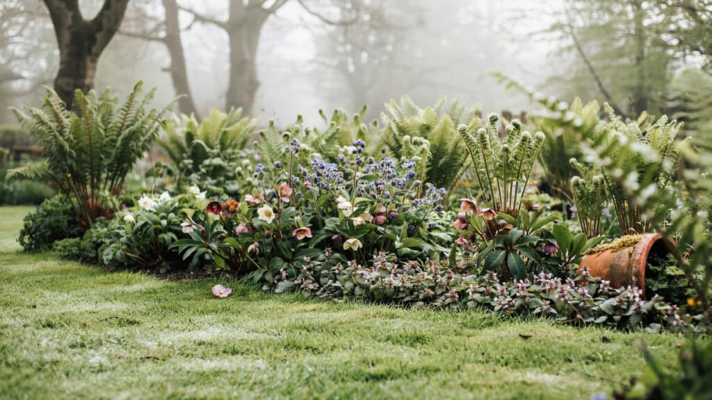 25 Shade Perennials and Plants That Actually Thrive (Even Under Trees) 17 25 Shade Perennials and Plants That Actually Thrive (Even Under Trees)