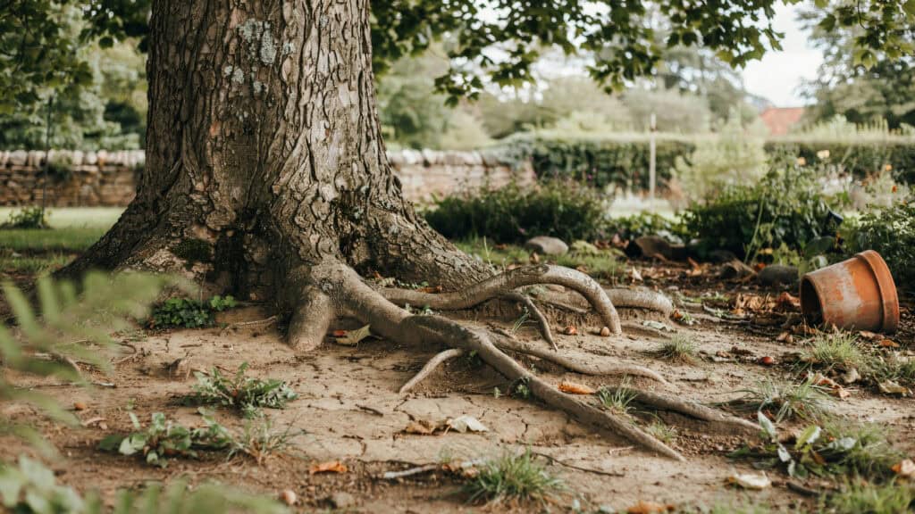 25 Shade Perennials and Plants That Actually Thrive (Even Under Trees) 2 25 Shade Perennials and Plants That Actually Thrive (Even Under Trees)